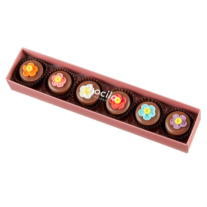 Chocilo Flower Pot Praline 6pk