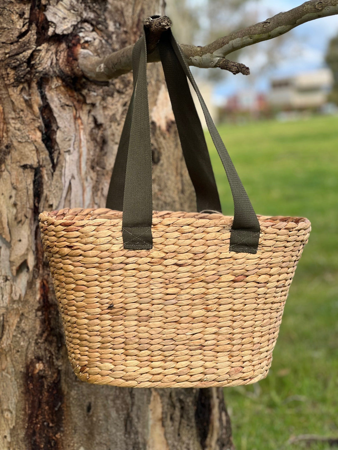 Oval Basket - Olive Green Handles