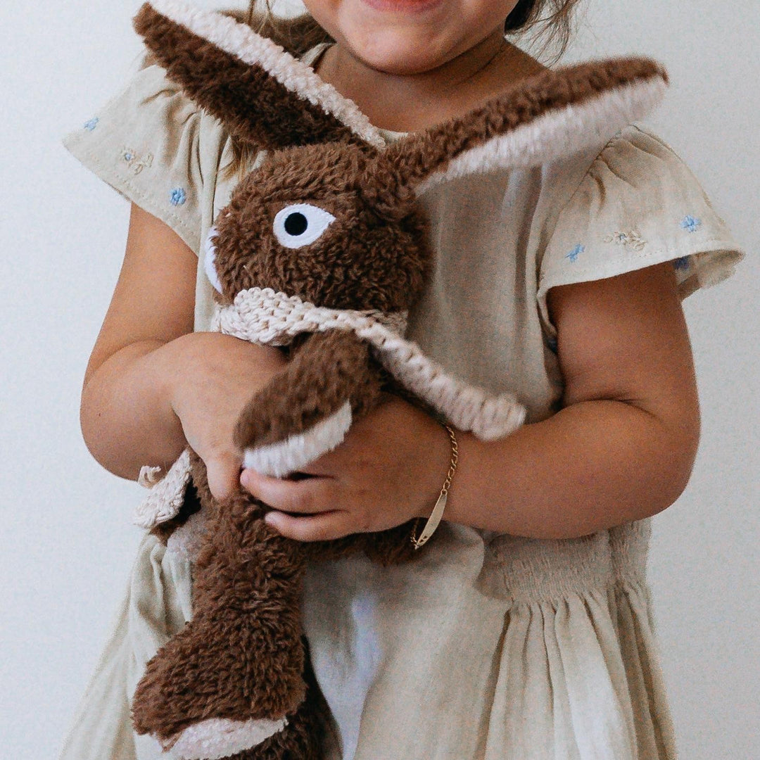 Frankie Rabbit
