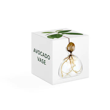 Avocado Vase