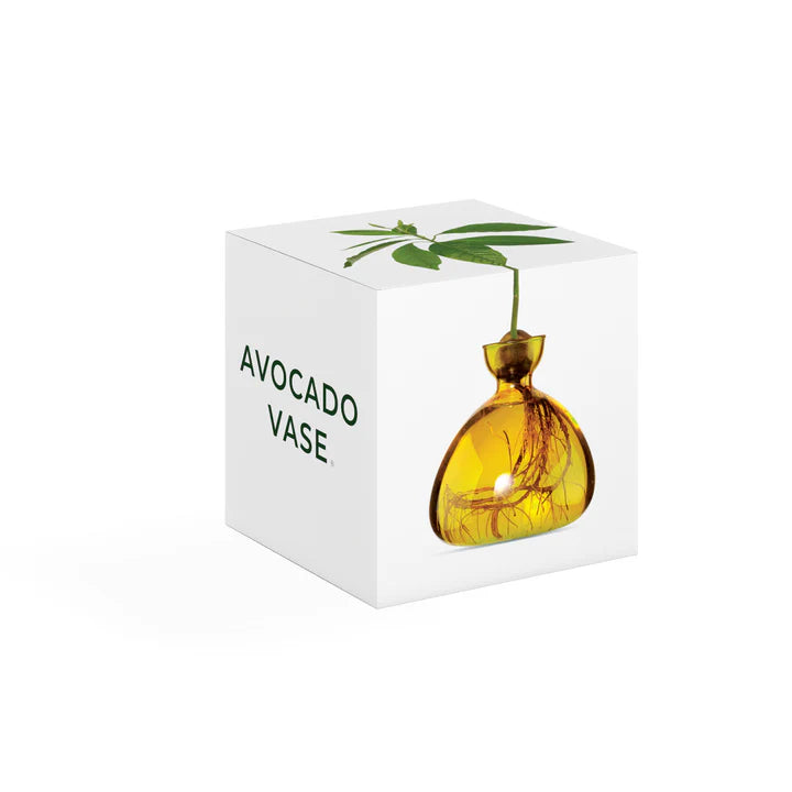 Avocado Vase