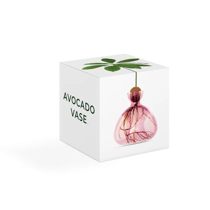 Avocado Vase