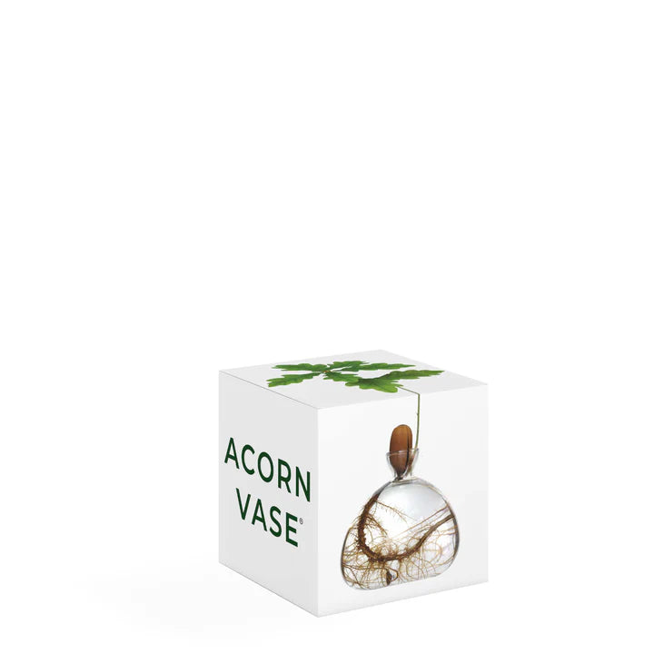 Acorn Vase
