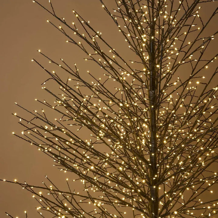 Black Forest Light Up Tree - Large