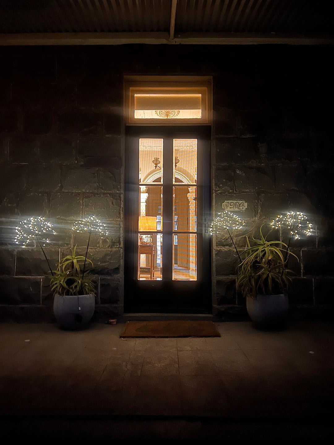 Solar Dandelion Light