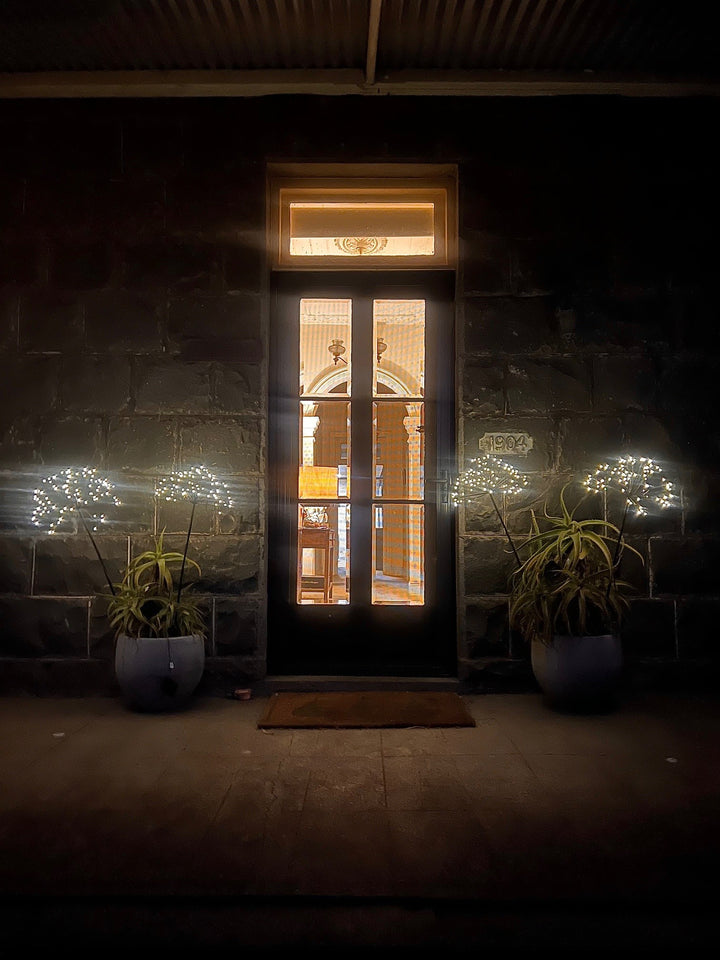 Solar Dandelion Light