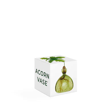 Acorn Vase