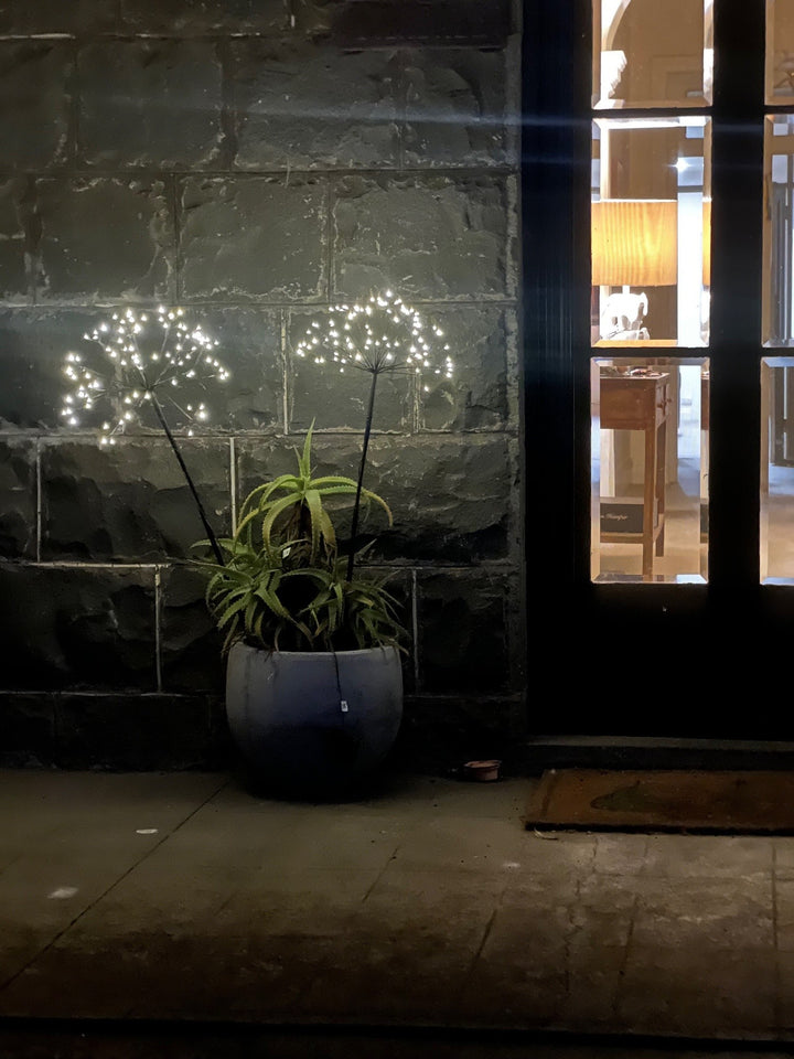 Solar Dandelion Light