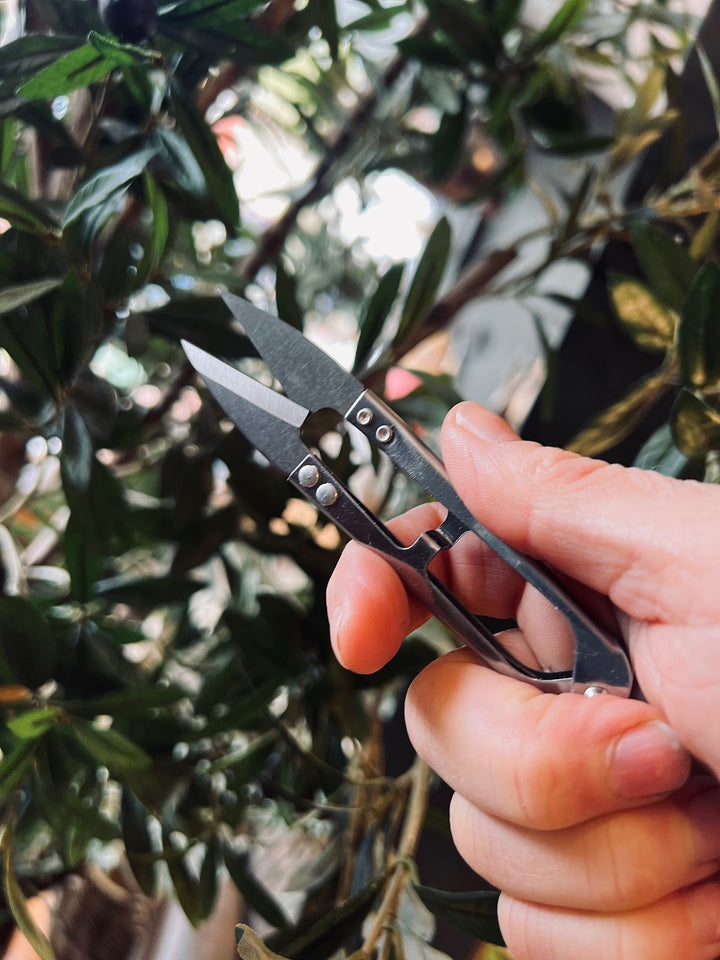Garden Snippers