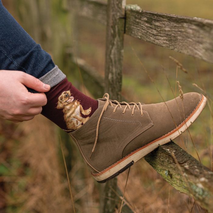 Wrendale Designs Socks Mens